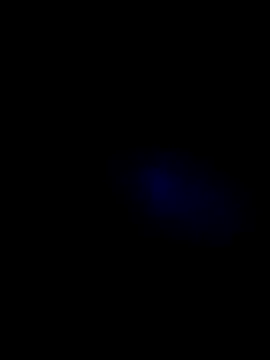 lady and charly online show from November 7, 2025, 7:40 pm