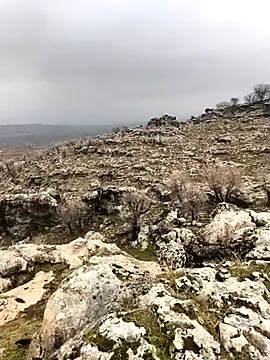 Snapshot of Sert_erkek21_ysm chatting on February 2, 2026, 10:03 am Sert erkek21 ysm online show from February 2, 2026, 10:03 am