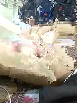 ROSHANI 234 online show from November 2, 2025, 2:11 pm