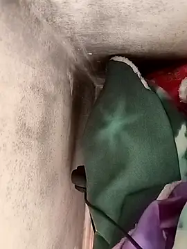 Snapshot of Nara2 chatting on October 7, 2025, 11:33 am Nara2 online show from October 7, 2025, 11:33 am