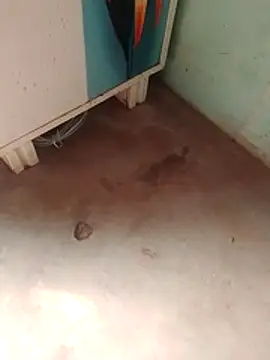 Tg sonam online show from December 23, 2025, 7:18 am