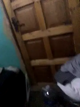 Venusasss online show from November 21, 2025, 7:13 pm