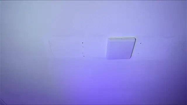 Bayonetta doll online show from February 14, 2026, 12:49 pm