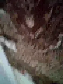 MilaCold5443 online show from December 1, 2025, 6:53 pm