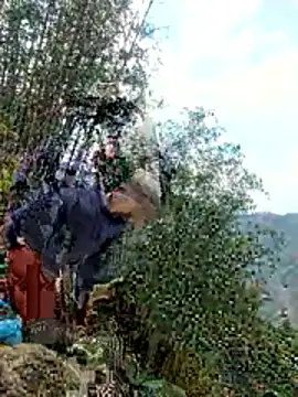 gio-thu online show from April 11, 2026, 9:02 am