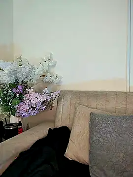 Snapshot of Kiaraa88 chatting on February 3, 2026, 11:15 am Kiaraa88 online show from February 3, 2026, 11:15 am