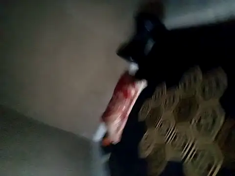 Sugar DBoy online show from November 4, 2025, 7:17 pm