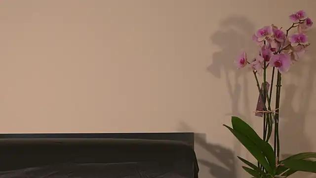 AbrilColls  online show from March 15, 2026, 12:17 am