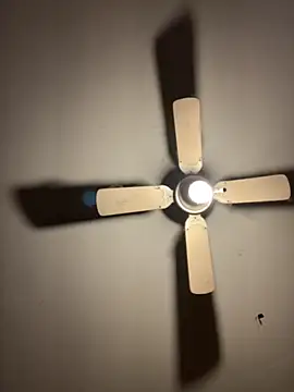 CarmeloA online show from October 22, 2025, 8:41 pm