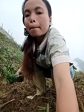 Snapshot of Nguyet2k4 chatting on November 12, 2025, 7:12 am Nguyet2k4 online show from November 12, 2025, 7:12 am