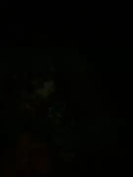 Snapshot of Geilerhengst9797 chatting on October 25, 2025, 3:17 am Geilerhengst9797 online show from October 25, 2025, 3:17 am