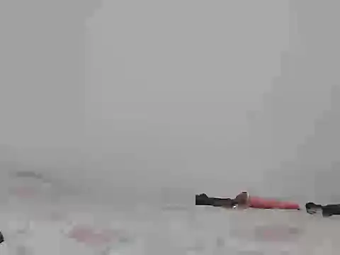 toxic sweet 1 online show from November 7, 2025, 11:15 am