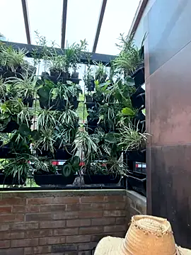 Rashel Frost  online show from November 23, 2025, 6:51 pm