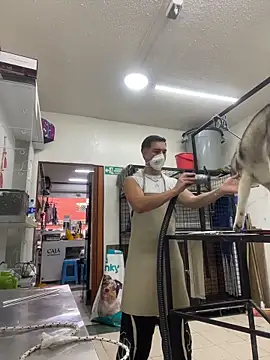 Leonardmoppet online show from November 4, 2025, 8:56 pm