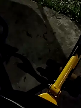 roludao fun online show from November 11, 2025, 10:58 pm