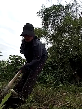 Chmdiemd online show from November 21, 2025, 12:42 am