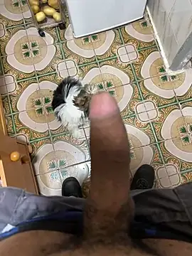 Anaconda Negra20 online show from April 9, 2026, 6:04 am