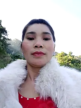 Bear bear0 online show from November 29, 2025, 2:12 am