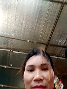 Bear bear0 online show from October 24, 2025, 12:42 am