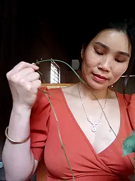 Bear bear0 online show from March 26, 2026, 9:51 am