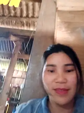 Bear bear0 online show from April 2, 2026, 7:48 am