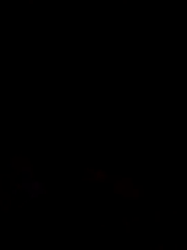  LAN  online show from March 9, 2026, 9:51 pm