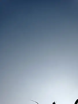 Menu x online show from January 13, 2026, 8:07 am