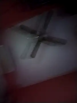 Danii2005 online show from November 25, 2025, 8:09 pm