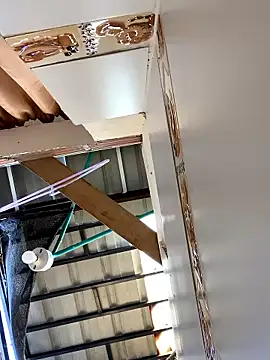 Abby Evanns1 online show from January 14, 2026, 1:37 pm