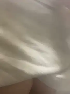 Evelinmiller97 online show from November 2, 2025, 11:21 pm