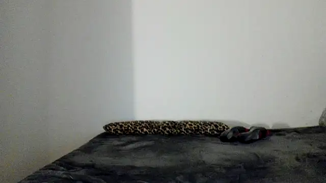 Blueskynicci online show from November 13, 2025, 6:56 pm