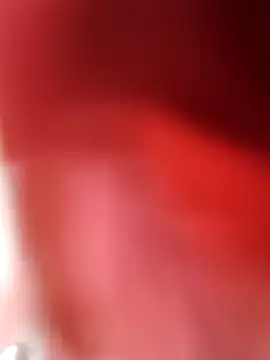 Snapshot of Bruninhadeusa chatting on February 9, 2026, 3:26 am Bruninhadeusa online show from February 9, 2026, 3:26 am