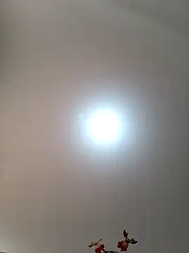 Snapshot of Lunatemptress4 chatting on December 1, 2025, 1:23 pm Lunatemptress4 online show from December 1, 2025, 1:23 pm