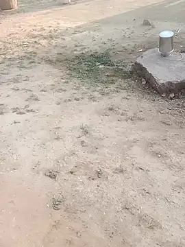 Babita ranni online show from November 11, 2025, 1:50 pm