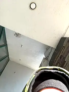 Snapshot of slimshadypt2 chatting on November 21, 2025, 4:17 pm slimshadypt2 online show from November 21, 2025, 4:17 pm