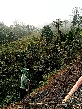 Phoena-a online show from March 21, 2026, 1:18 am