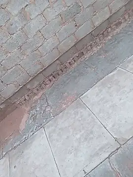 younggblackkCOCK19 online show from November 3, 2025, 3:26 pm