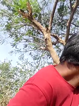 devil boy 0909 online show from April 17, 2026, 3:20 am