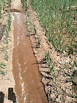 devil boy 0909 online show from March 18, 2026, 6:05 am