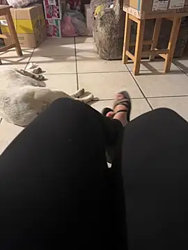 Evil kitty6 online show from December 15, 2025, 12:27 am