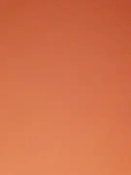 SiennaBite online show from November 26, 2025, 12:43 am