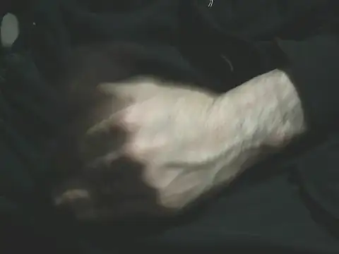 giovanift111 online show from January 10, 2026, 12:50 am