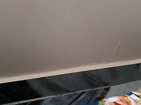 bigtelugubhama online show from February 20, 2026, 6:37 am