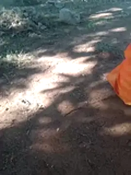 Anju setty online show from November 8, 2025, 7:12 am