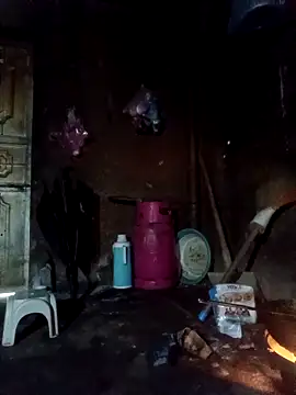 yoyo-mi online show from November 11, 2025, 3:34 am