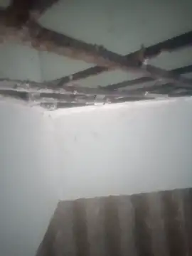 Pallu Asha online show from March 19, 2026, 12:54 am