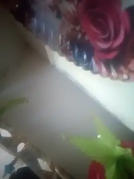 Pallu Asha online show from March 14, 2026, 10:21 am