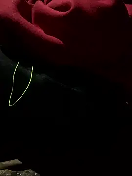 bi-bo123 online show from January 9, 2026, 1:56 am