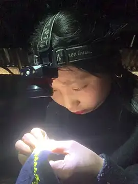 bi-bo123 online show from February 22, 2026, 2:14 am