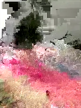 Snapshot of Ckinetor chatting on December 20, 2025, 3:15 pm Ckinetor online show from December 20, 2025, 3:15 pm